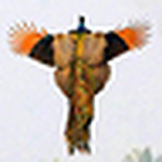 Kamran Haider - Flickr Profile Picture of Kamran Haider (@kamran.haider) on Flickr