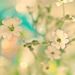 Profile Picture of Hišĥám Khặlặf (@himkhlf) on Pinterest