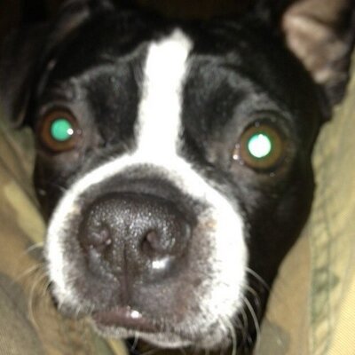 Dave Holton - Twitter Profile Picture of Dave Holton (@winterkid05) on Twitter