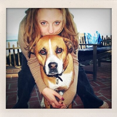Profile Picture of Amanda Hale (@AllHaleAmanda) on Twitter