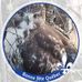 Profile Picture of Paul Gravel (@paul.gravel.10) on Facebook