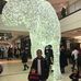 Profile Picture of Tien Lu (@tien.lu.9404362) on Facebook