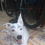 Profile Picture of Sheryl Bares Sheryl (@sherylbares.sheryl.5) on Facebook