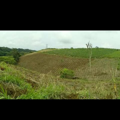 Profile Picture of Albert Valdivia Neva (@ValdiviaNeva) on Twitter