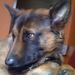 Profile Picture of Christine Grimonpont (@chrigrim) on Pinterest
