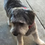 Profile Picture of James Negard (@james.negard.1) on Facebook