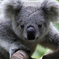 Profile Picture of Avril Carter (@avril-carter-1) on Quora