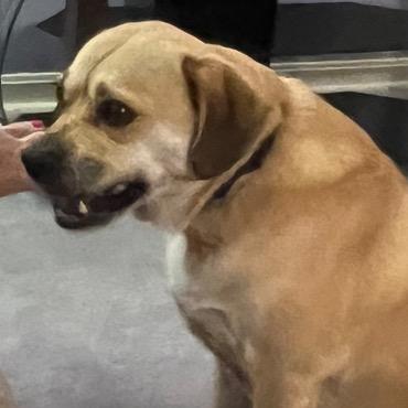 Profile Picture of matthewdehaven (@animalhouse230) on Tiktok