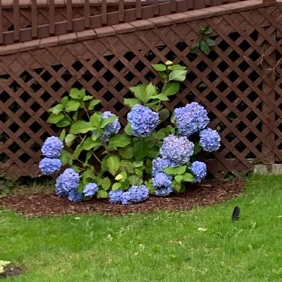 Profile Picture of Crystal Clarke (@crystalparsley3) on Twitter