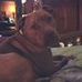 Profile Picture of Sherry Applegate (@sherry.applegate.9) on Facebook