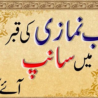 Profile Picture of Mohammad Aamer (@mohammad.aamer.75) on Facebook