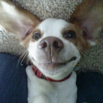 Profile Picture of Mark J. Geist (@EncouragerMark) on Twitter