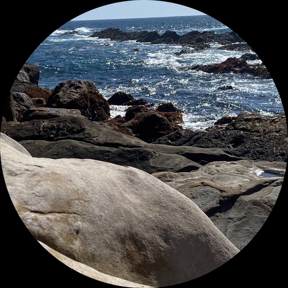 Profile Picture of Ivy Garcia (@ivyg12) on Poshmark