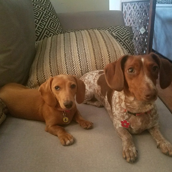 Profile Picture of Laura Demonteverde (@lpdemont) on Poshmark