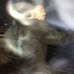 Profile Picture of Daniel Eason (@daniel.eason.79) on Facebook