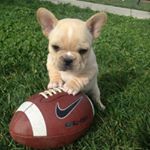 Profile Picture of Edward Edson Bryan (@edwardedsonbryan) on Instagram
