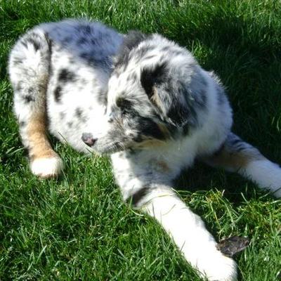 Profile Picture of Elizabeth Schell (@ElizabethSchel2) on Twitter