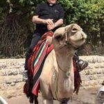 Profile Picture of Robert Sirico (@rasirico) on Instagram