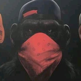 Profile Picture of Jim Kary (@Jimkary11) on Twitter