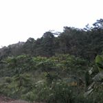 Profile Picture of 아난다 아담 하난 (@ananda_adam_0821) on Instagram