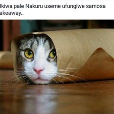 Profile Picture of Andy Milman (@AndyMilman) on Twitter