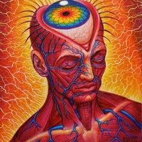 Profile Picture of Michael Altman (@michael-altman-51) on Quora