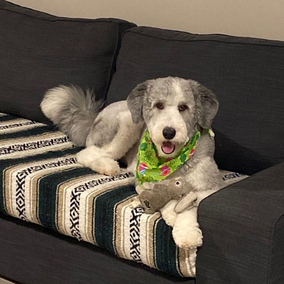 Profile Picture of Dee Cadrin (@deecad1111) on Poshmark