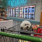 Profile Picture of Howard Chen (@Howard-Chen) on Facebook