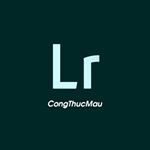 Profile Picture of Preset Lightroom Mobile (@congthucmau.preset) on Instagram