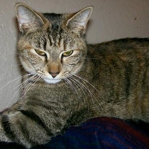 Profile Picture of Shirley Brick (@173285001) on Myspace