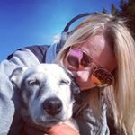 Profile Picture of Abbie Boyd (@a_bee1991) on Instagram