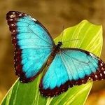 Profile Picture of Carolina Corzantes (@lesbia_corzantes) on Instagram