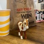 Profile Picture of Jill and Jeffrey (@jill__jeffrey) on Instagram