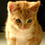 Profile Picture of Doris Comadran Suarez (@doris25261328) on Flickr