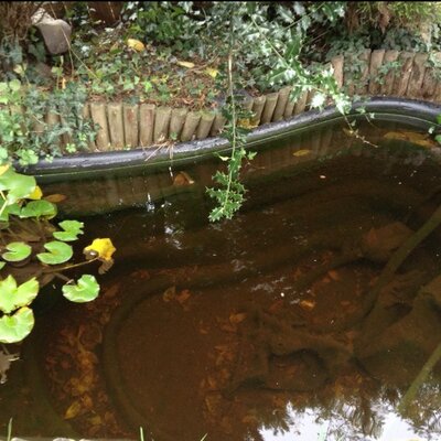 Profile Picture of Gilles Michaud (@gillesmichaud3) on Twitter