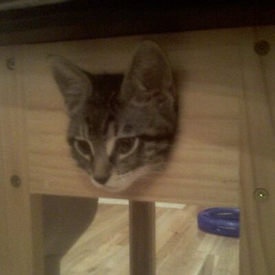 Profile Picture of Timothy Thorp (@berserkley23) on Twitter