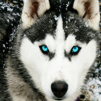 Profile Picture of Richard Enfield (@spanishrichard) on Twitter