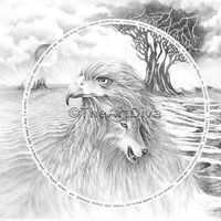 Profile Picture of Matthew Wollin (@matthew-wollin-4) on Quora