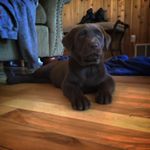 Profile Picture of Randy Nathan (@randynathan1234) on Instagram