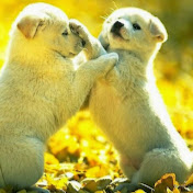 Jayashree Rao - Youtube Profile Picture of Jayashree Rao (@jayashreerao9547) on Youtube