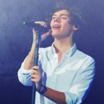 Profile Picture of Brilliam Turtle (@haroldsturtle) on Instagram