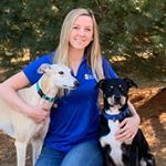 Profile Picture of Robyn Fraser (@ifb_robyn) on Instagram