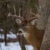 Profile Picture of Michael Jamison (@michael.jamison.14268) on Facebook