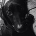Profile Picture of Kyle Postlethwaite (@kyle.postlethwaite.52) on Facebook