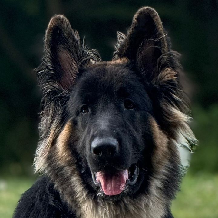 Profile Picture of user6203324316954 (@@sir..keith) on Tiktok