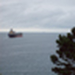 Profile Picture of Bruno Taiar de Carvalho (@Bruno Taiar) on Flickr