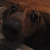 Profile Picture of Jade Brower (@jadylady81) on Youtube