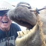Profile Picture of Joe Badame (@badame0315) on Pinterest