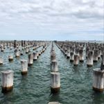 Profile Picture of chrisavella (@chrisavella) on Instagram