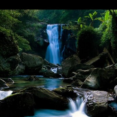 Profile Picture of Morad (@hamidmorad12345) on Twitter